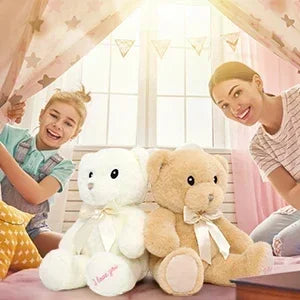 I Love You Teddy Bear Stuffed Animals Valentines Day Gifts,2-Pack Soft Embroidered Stuffed Bear Stuffed Animals Bulk
