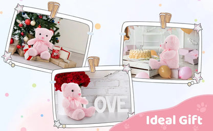 2 Pack Pink and Blue Teddy Bear, Small Teddy Bear Stuffed Animal Plush for Christmas Valentines Day