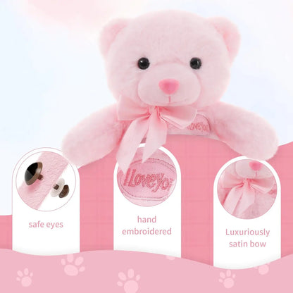 2 Pack Pink and Blue Teddy Bear, Small Teddy Bear Stuffed Animal Plush for Christmas Valentines Day