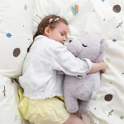 20" Big Teddy Bear Stuffed Animals, Soft Koala Bear Plush Toy Hugging Baby Pillow for Kids, Gray